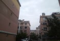 抱龙风景6