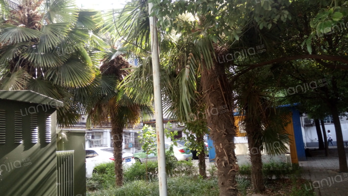 建井一处家属院外景图