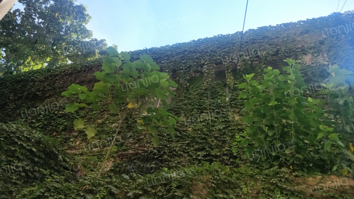 雅苑公寓外景图