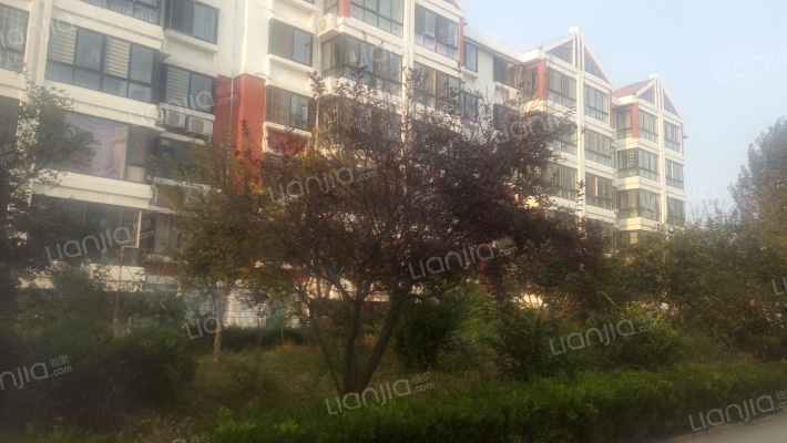 城南村民公寓外景图