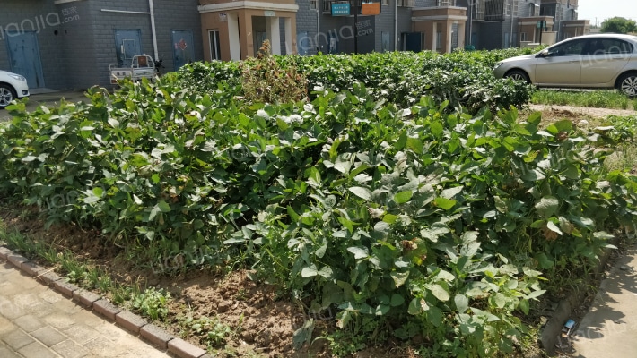 凤兴公寓外景图