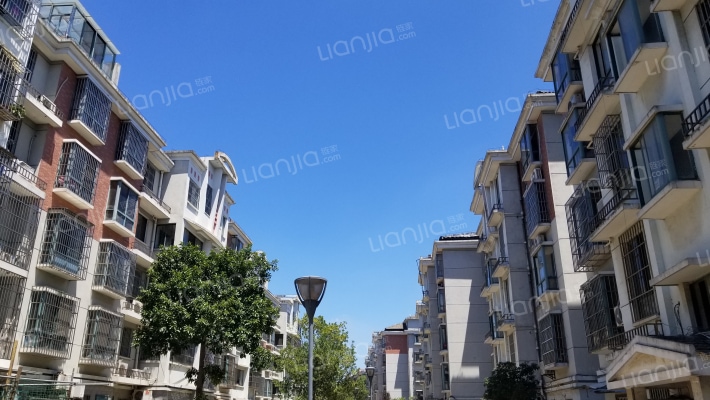 大唐花苑南区外景图