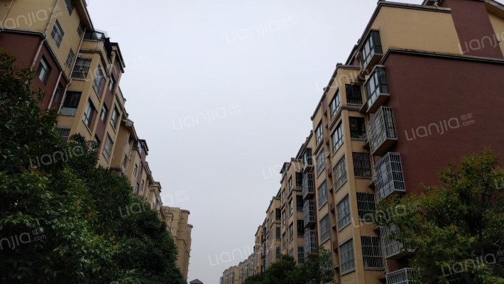 明珠世纪城D区外景图