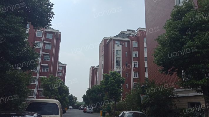 圩里新村外景图