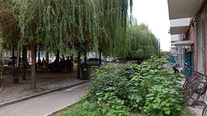 新龙华城三期外景图