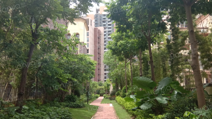 半山午后外景图