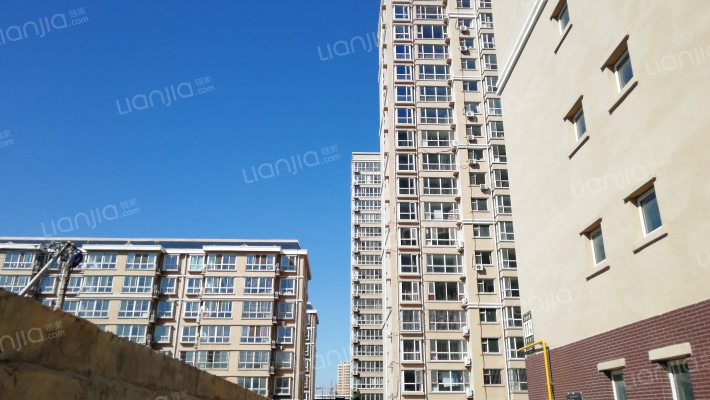 北美林荫外景图