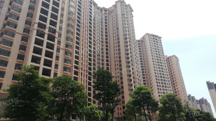 东湖洲花园A区外景图