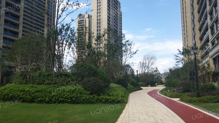 绿城玫瑰园外景图