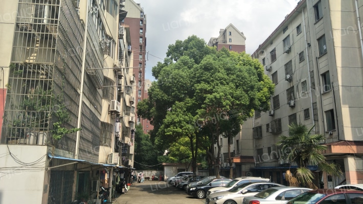 朝泾新村外景图