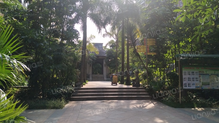 风格雨林外景图