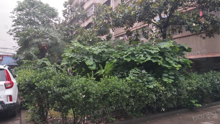 区委家属北院外景图