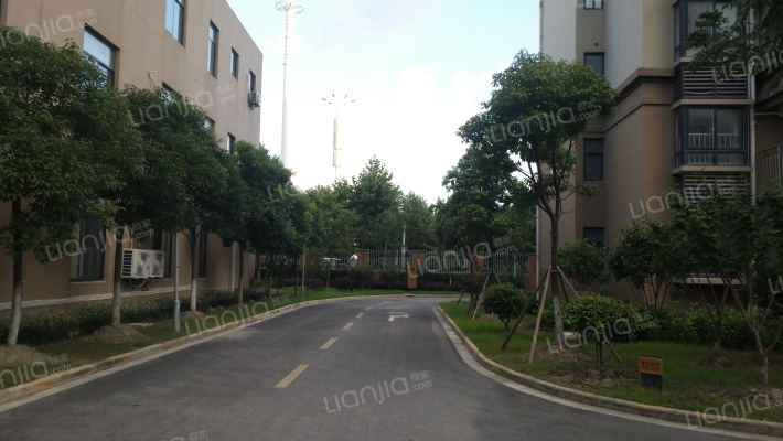 心泊兰花苑外景图