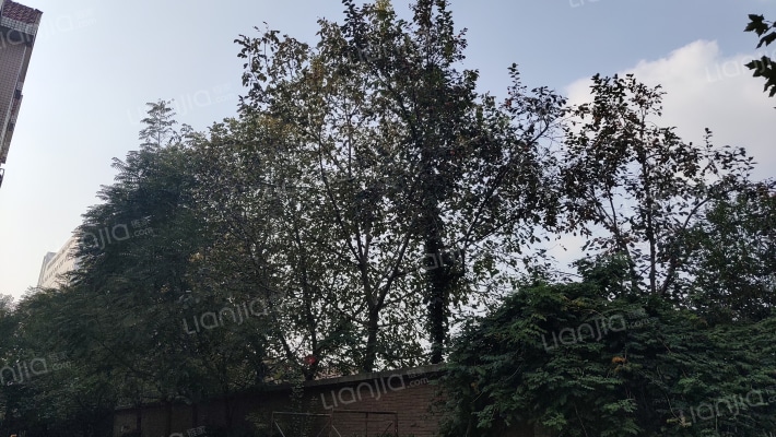 网通住宅小区外景图