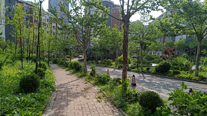 优山美地东区外景图