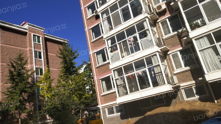 中允新村外景图