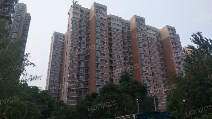 滨江国际星城外景图