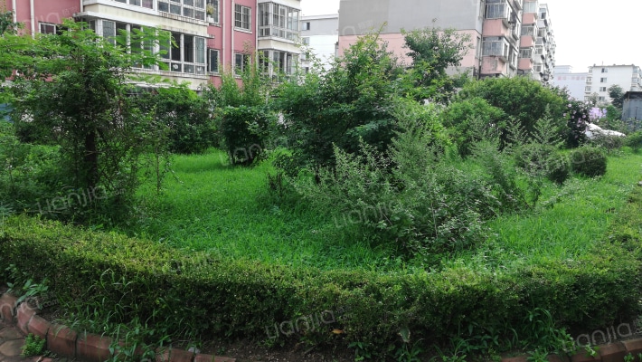 银丰小区西区外景图