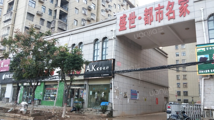 盛世都市名家外景图