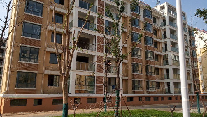 玉兰花园外景图