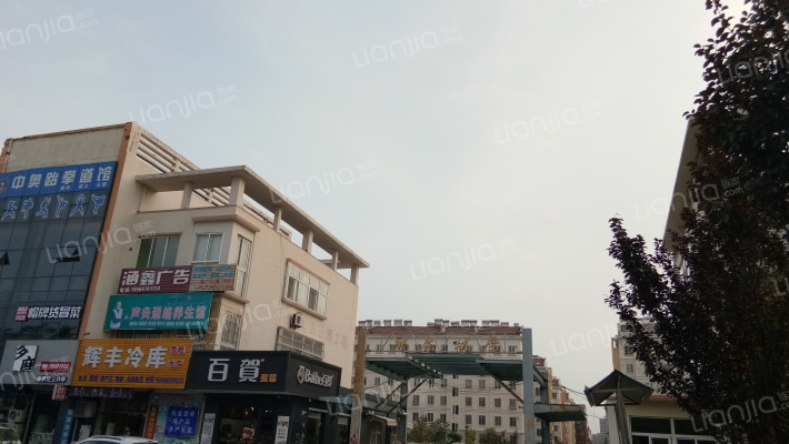 御苑枫景外景图