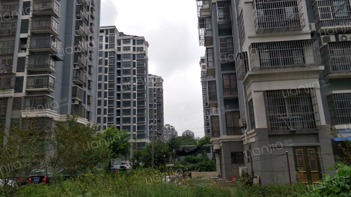 明珠锦苑A区外景图