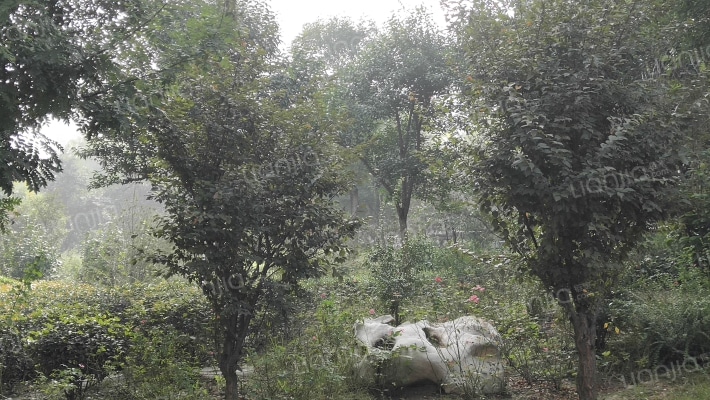 水木清华(寿光市)外景图