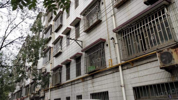 寿光市质量技术监督局宿舍外景图