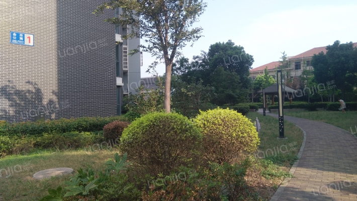 金苏公寓外景图