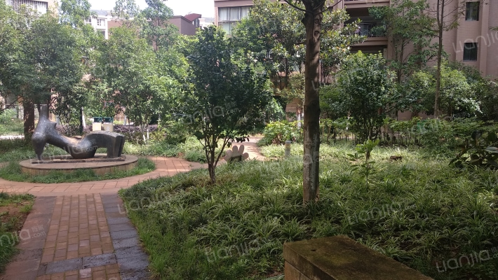 中天花园外景图