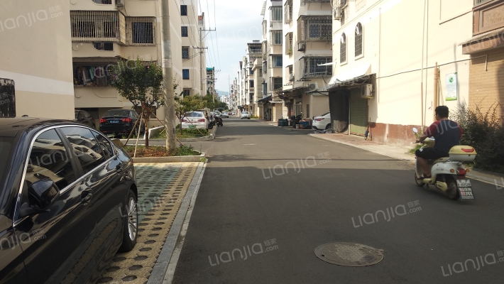 城西三苑外景图