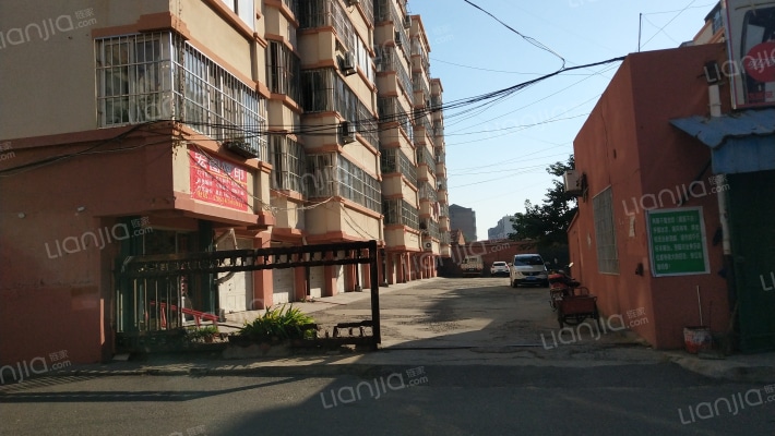 茶庵花园外景图