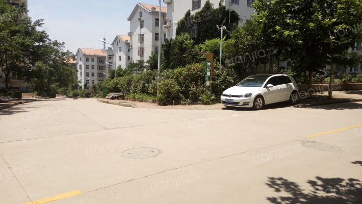 平顶山学院家属区中区外景图