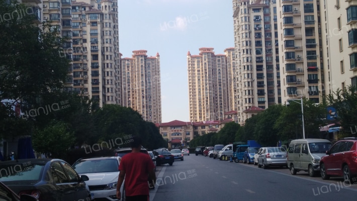 中南世纪城西区外景图