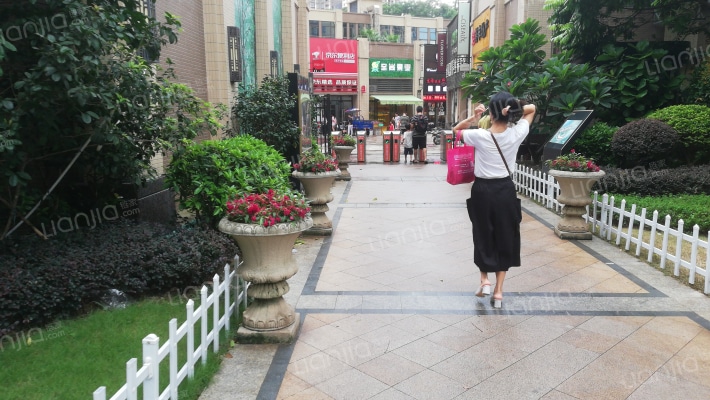 中海金沙里外景图