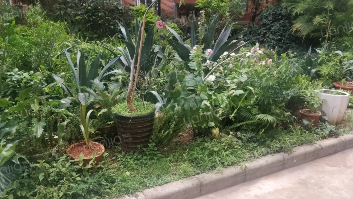 苏苑小区外景图