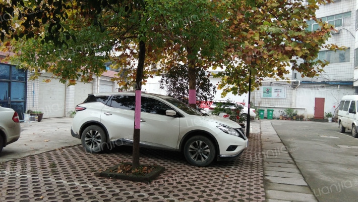 农业局家属院外景图