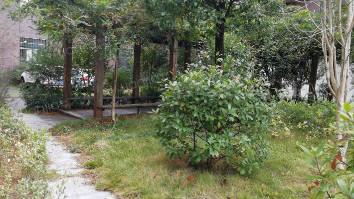 未来尚城外景图