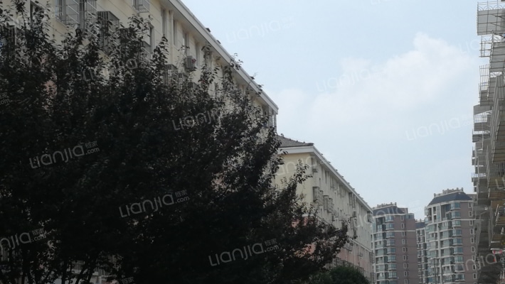 善成一村外景图