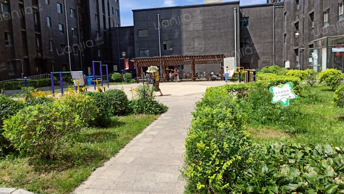 江畔阳光外景图