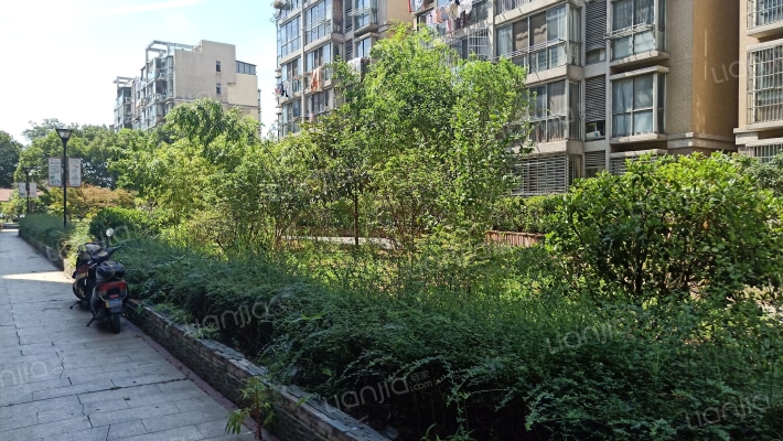 怡康家园水岸春天外景图