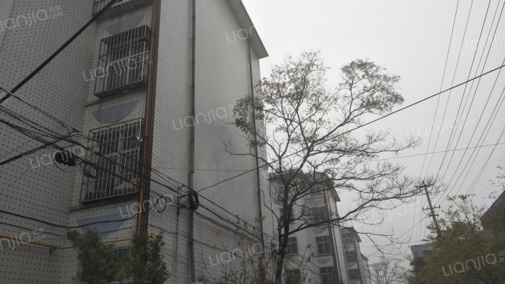 老教师公寓外景图