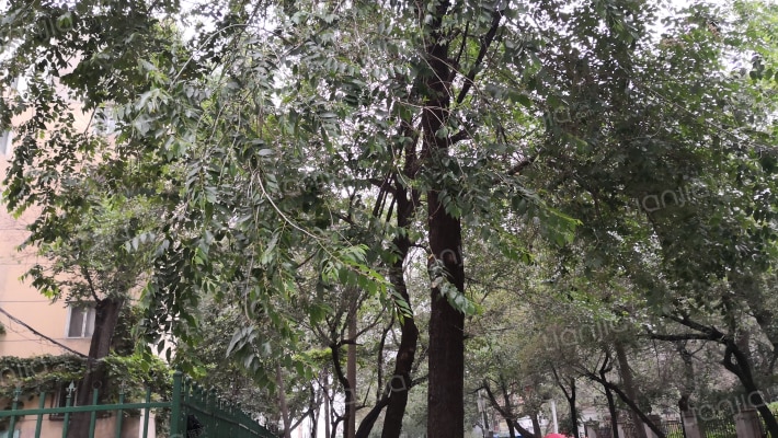 工程师街外景图