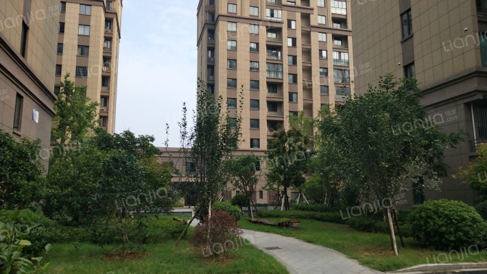 下金新村外景图