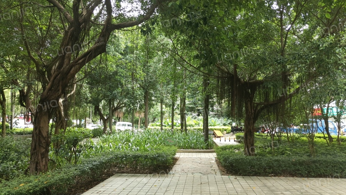 乐城花园外景图