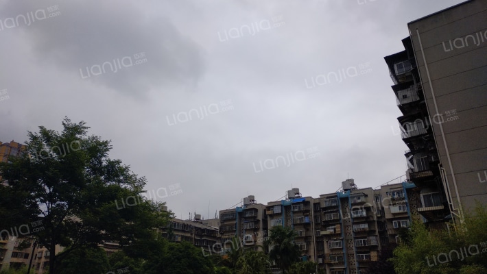 体育小区外景图