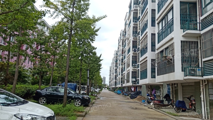 格林春天外景图