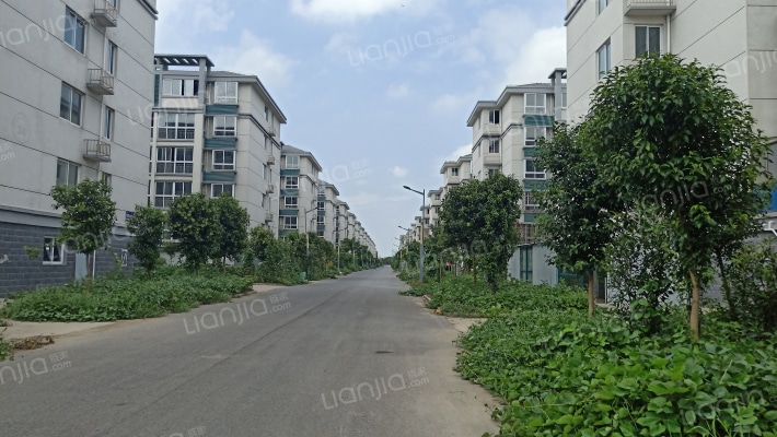 新东中心村回迁房外景图