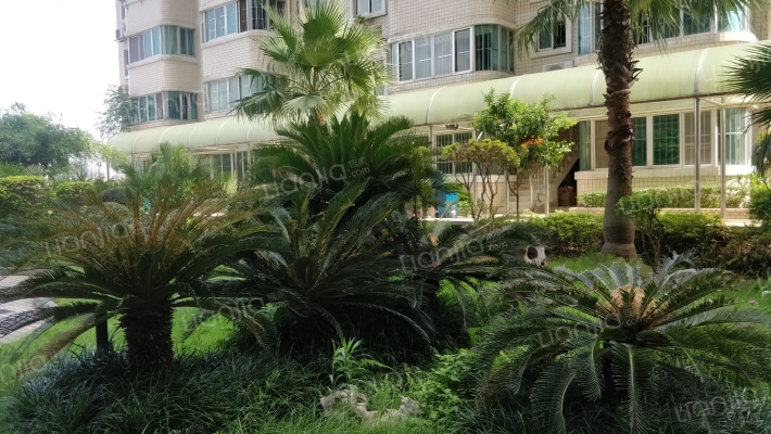 外滩新城外景图