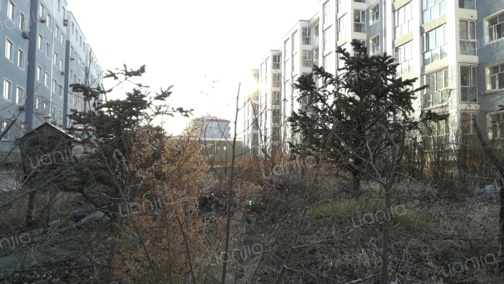 温馨家园南区由张北建兴投资有限公司于2000年建成;楼栋总数15栋,共计